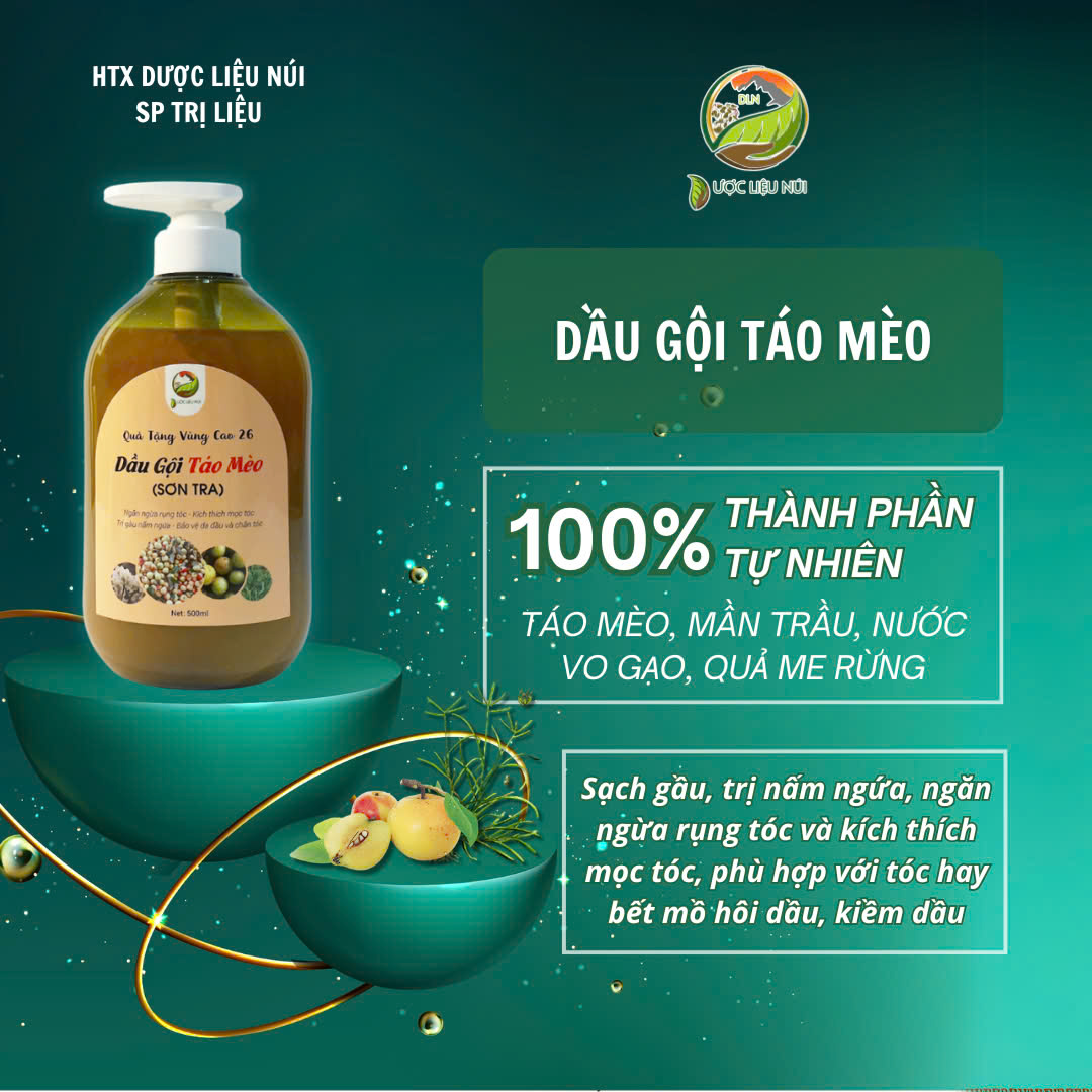 Dầu Gọi Táo Mèo